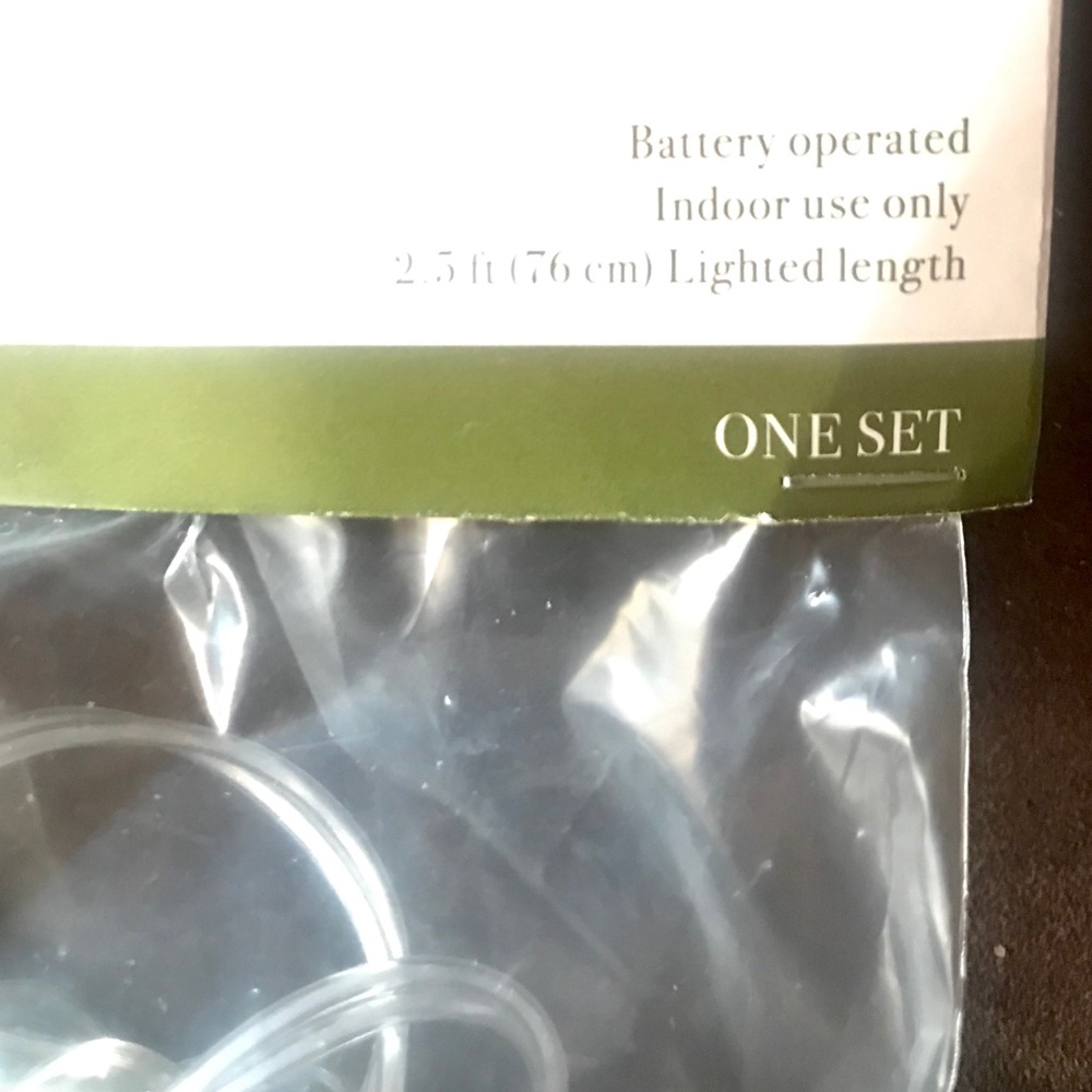 🎄Target Christmas Snow Globe String Lights 🎯 - Picture 5 of 6
